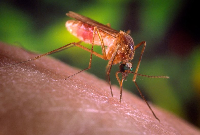 West Nile virus cases and positive samples have been found nationwide.